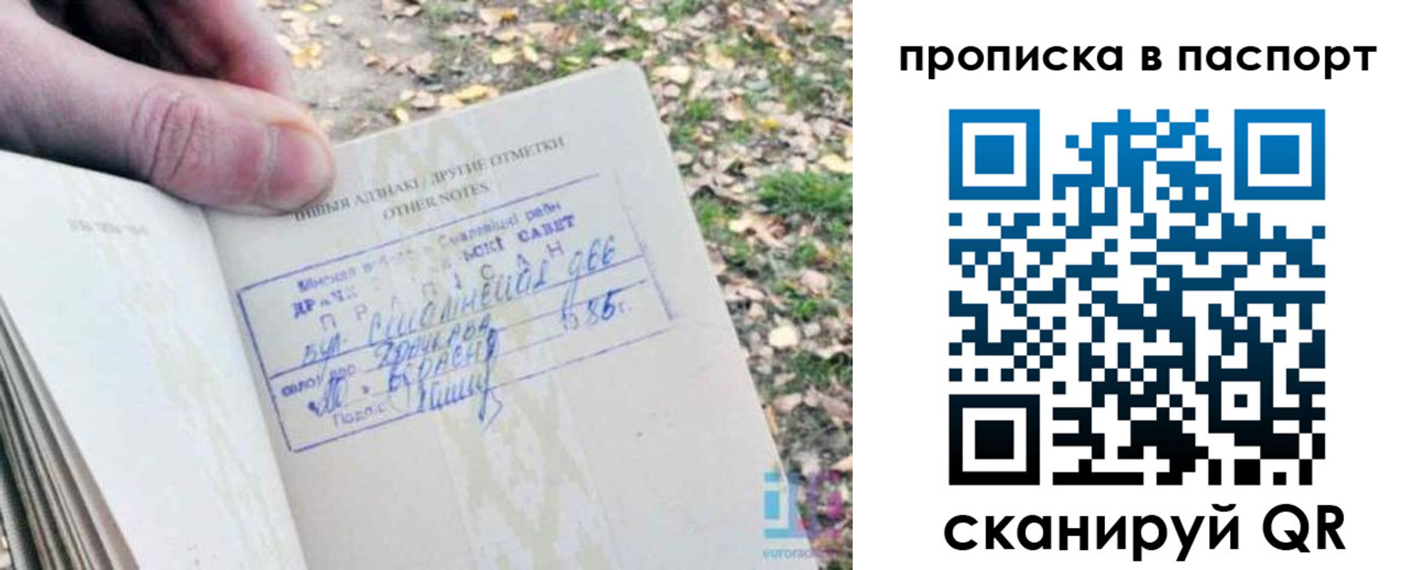 купить прописку в Петухово